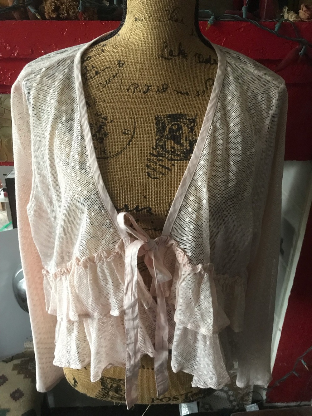 Heart’s Desire by Mary Grace Sheer Blush Pink Ruffled Tie-Front top